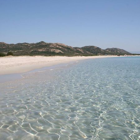 Appartamento Vacanze Sardegna 시니스콜라 외부 사진
