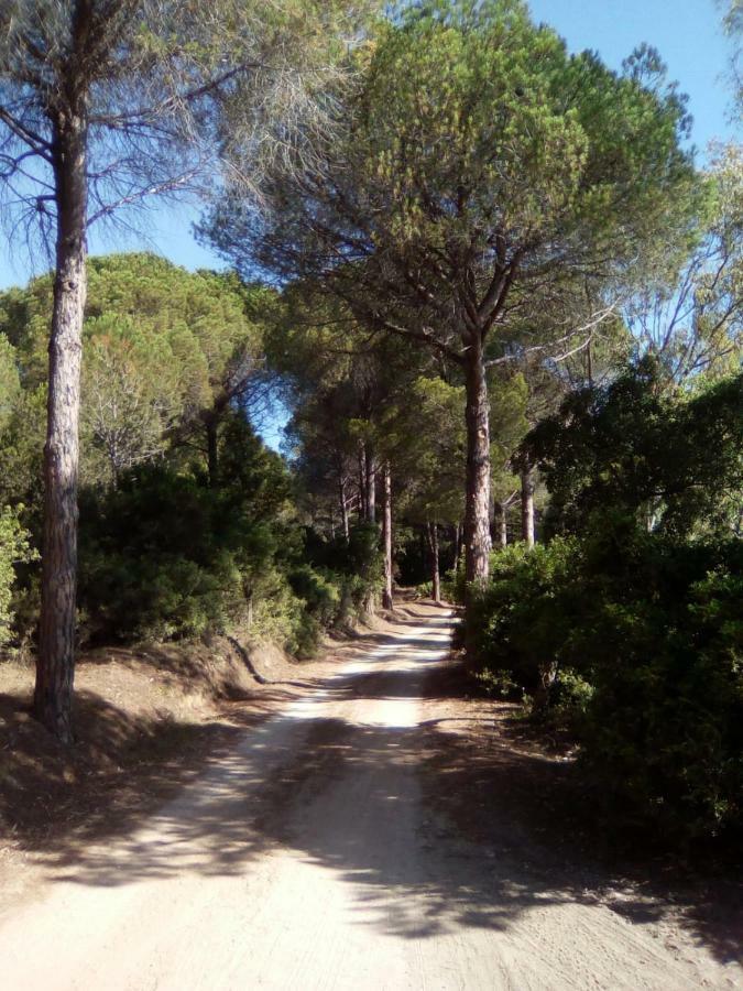 Appartamento Vacanze Sardegna 시니스콜라 외부 사진
